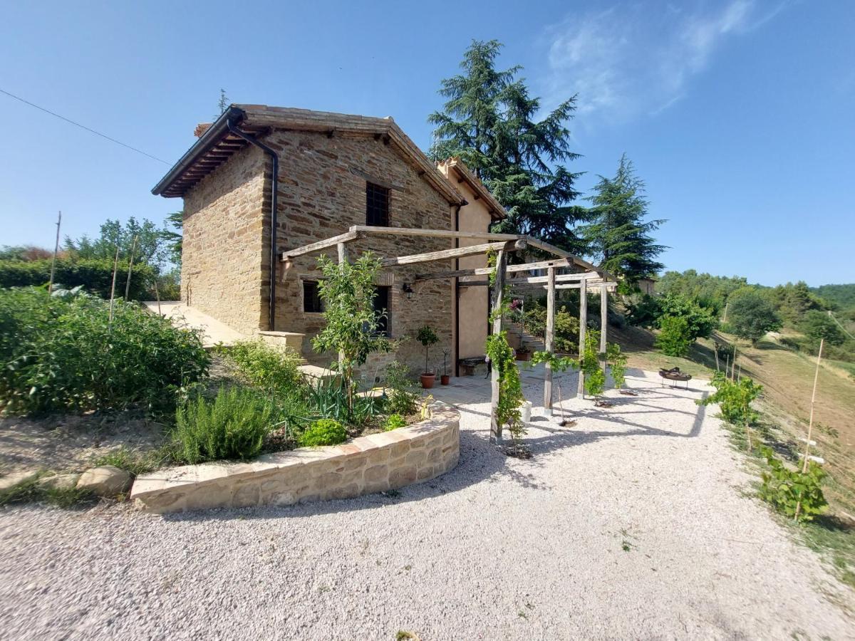 Ca' Gulino - Urbino - Villa Con Minipiscina In Borgo Antico Exteriör bild