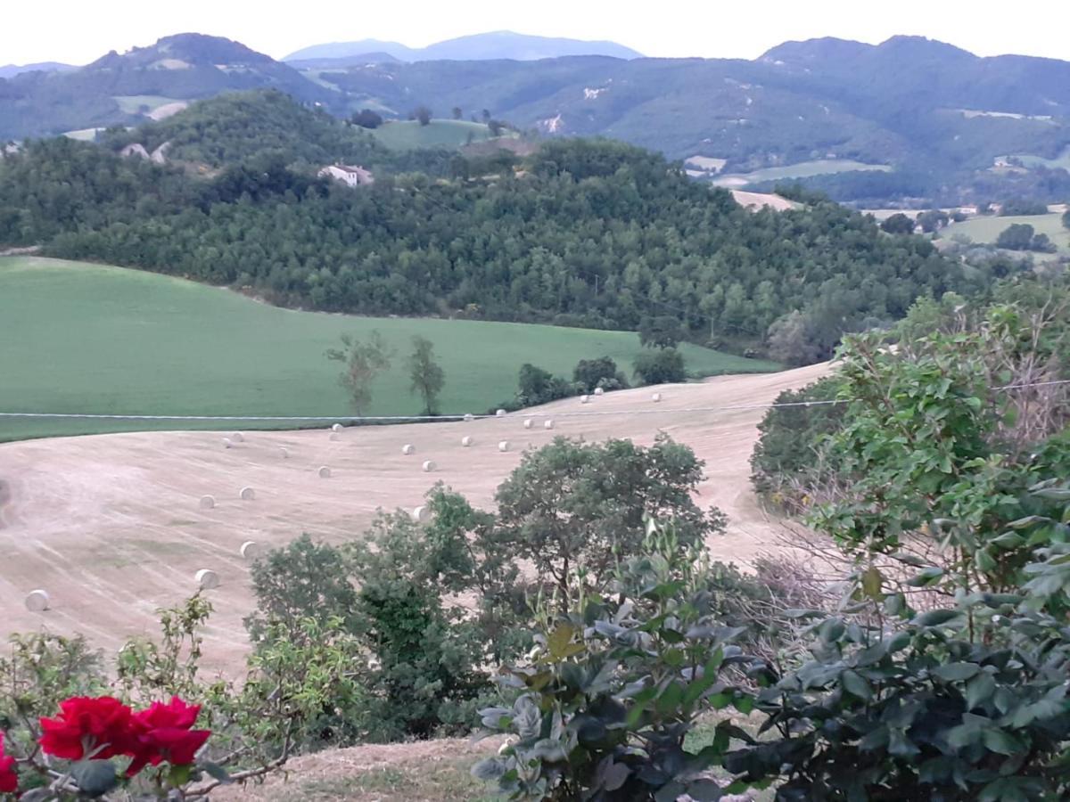 Ca' Gulino - Urbino - Villa Con Minipiscina In Borgo Antico Exteriör bild