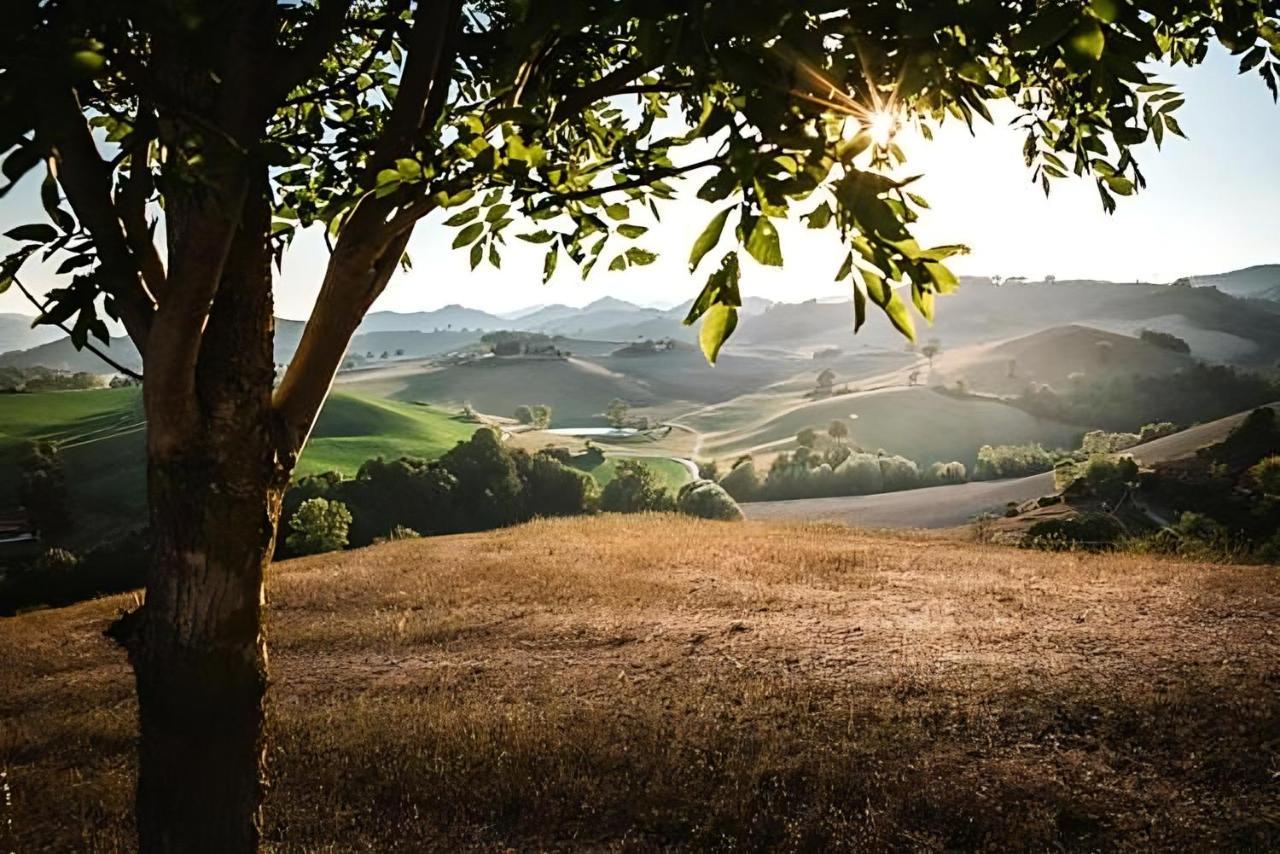 Ca' Gulino - Urbino - Villa Con Minipiscina In Borgo Antico Exteriör bild