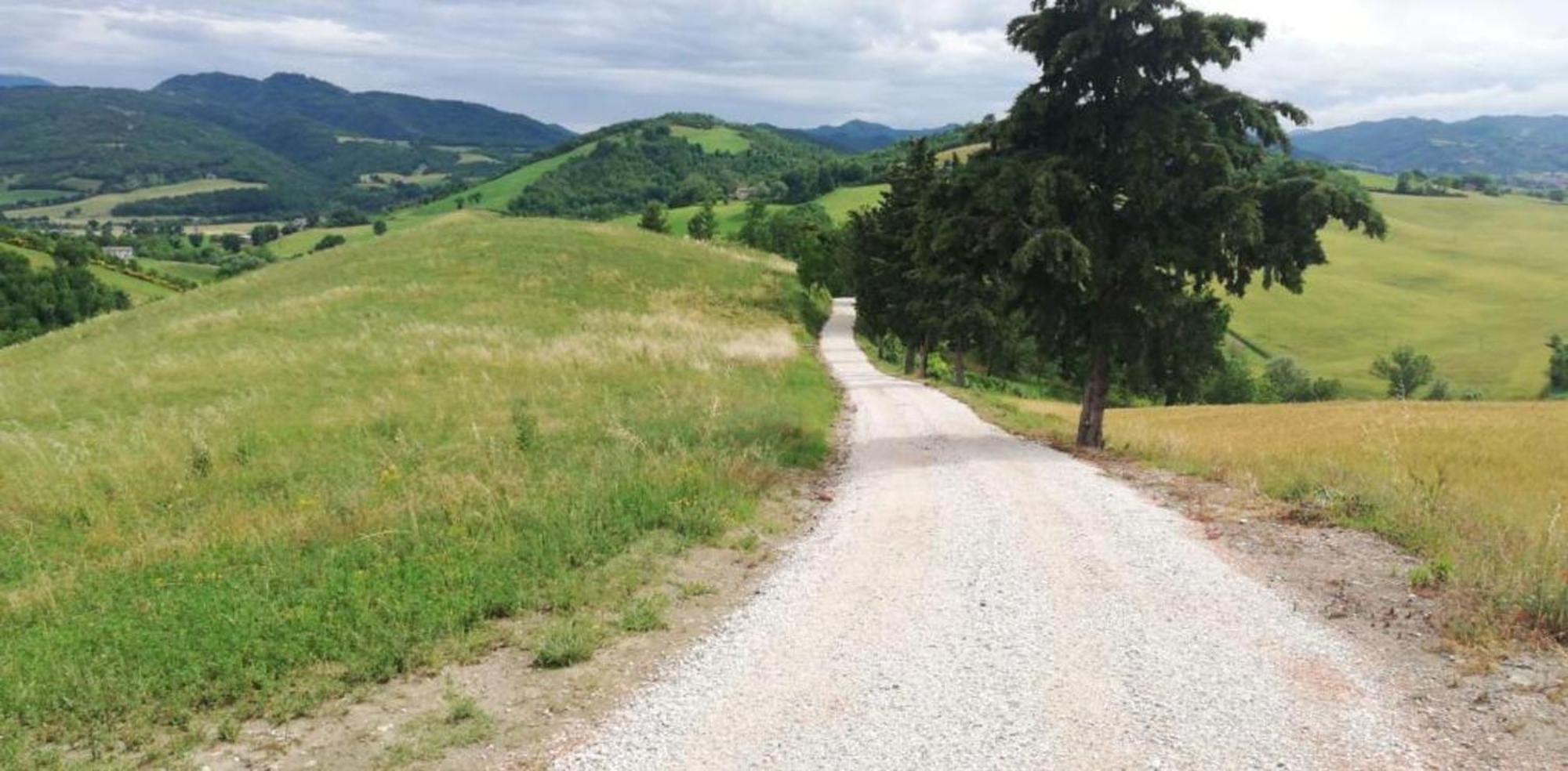 Ca' Gulino - Urbino - Villa Con Minipiscina In Borgo Antico Exteriör bild