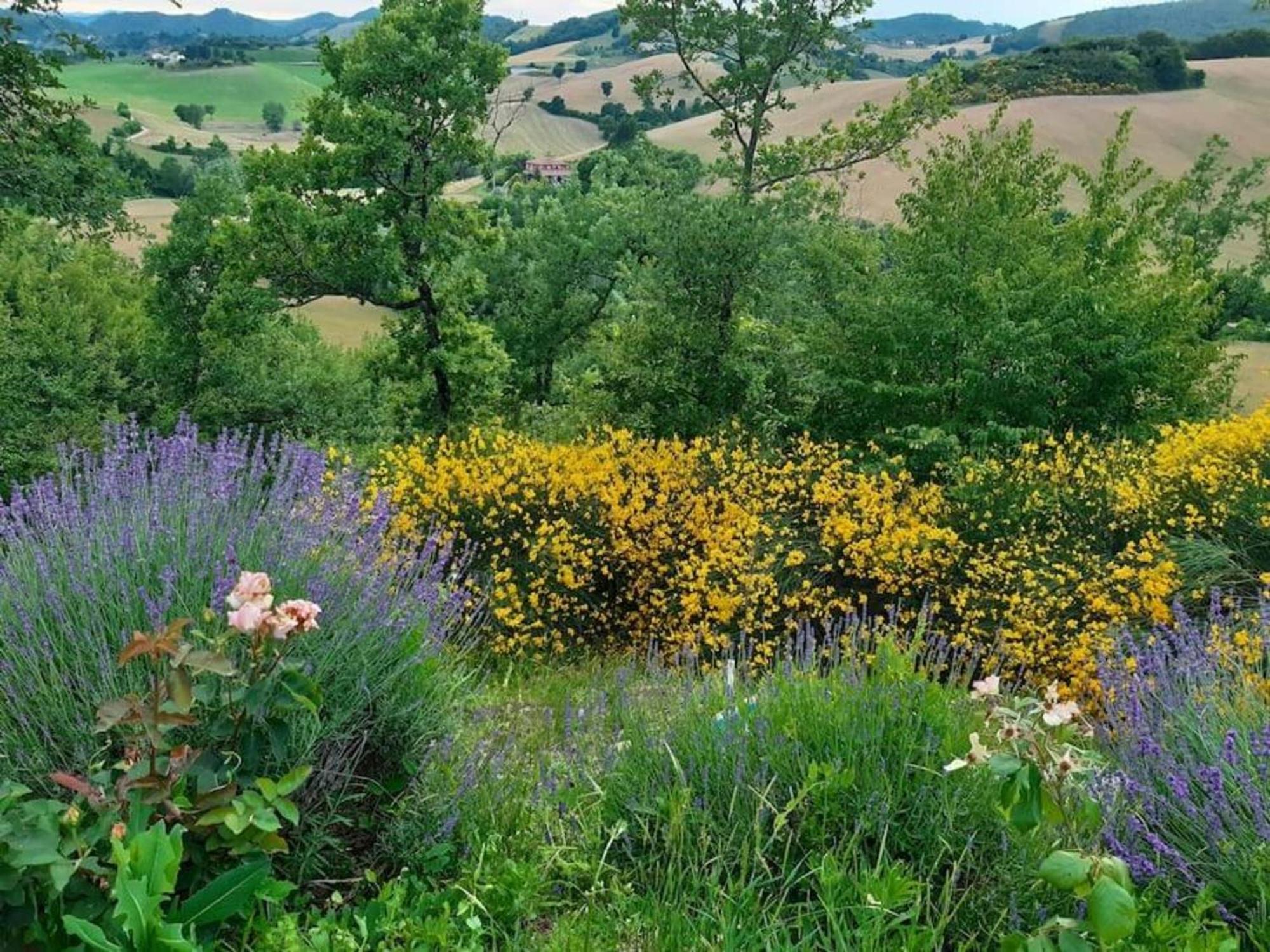Ca' Gulino - Urbino - Villa Con Minipiscina In Borgo Antico Exteriör bild