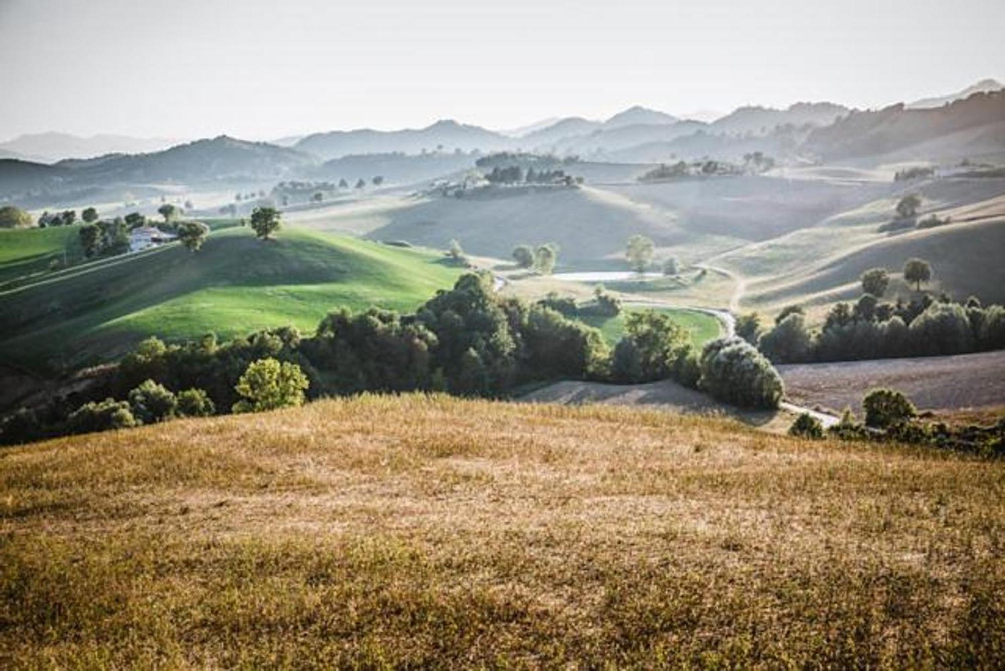 Ca' Gulino - Urbino - Villa Con Minipiscina In Borgo Antico Exteriör bild