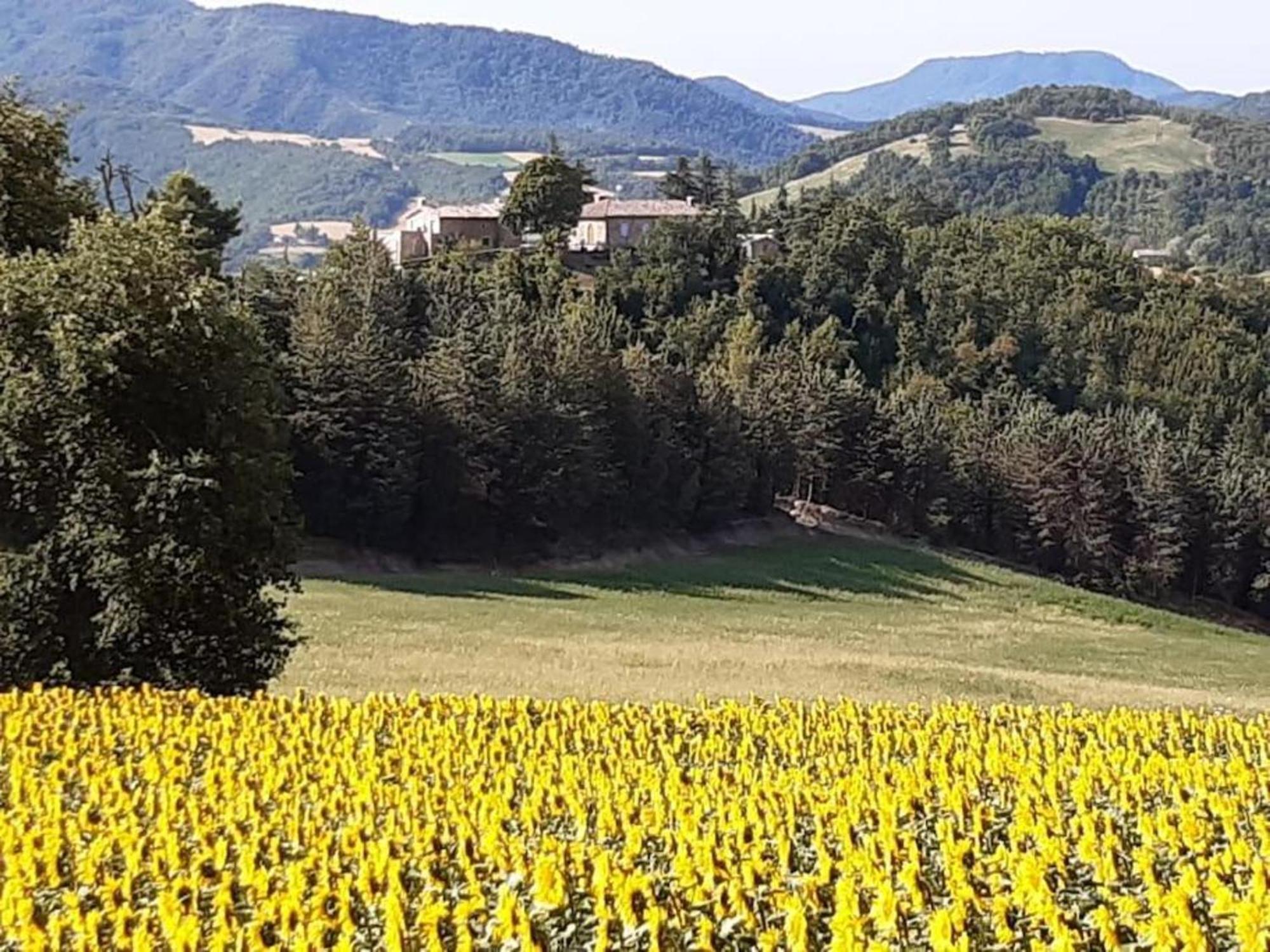 Ca' Gulino - Urbino - Villa Con Minipiscina In Borgo Antico Exteriör bild